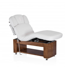 Электрический стационарный массажный стол Alexander A-Salon