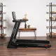 Беговая дорожка SVENSSON BODY LABS PHYSIOLINE SPRINTMASTER B
