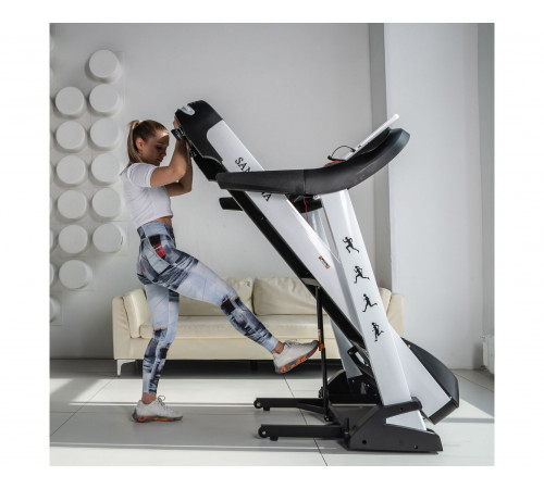 Беговая дорожка DFC SANTANA T755