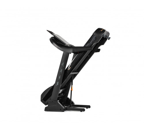 Беговая дорожка DFC SANTANA Pro T757