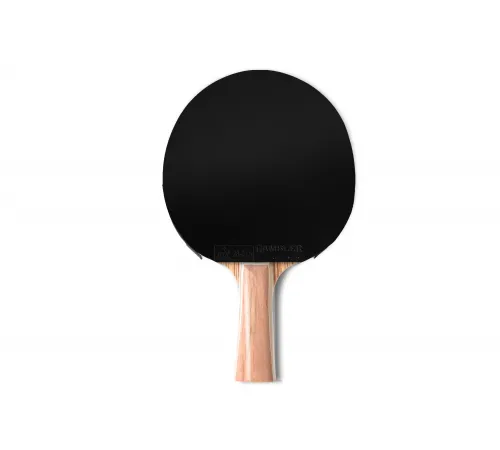 Ракетка Gambler ZEBRAWOOD CLASSIC VOLT M (коническая)